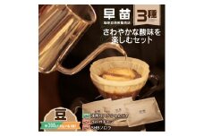 【早苗】焙煎珈琲豆（さわやかな酸味を楽しむセット　3種×各100g）豆 スペシャルティコーヒー 珈琲 セット 3種 浅煎り 軽め さっぱり さわやか酸味 ジッパー チャック付き 豆 東京 新宿 0020-006-S05-1