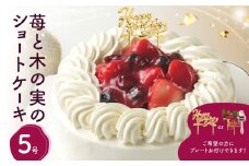 苺と木の実のショートケーキ５号 ホールケーキ ケーキ スイーツ デザート 冷凍 誕生日ケーキ パーティー 誕生日 記念日 0105-005-S06
