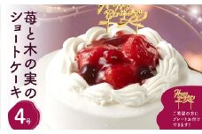 苺と木の実のショートケーキ４号 ホールケーキ ケーキ スイーツ デザート 冷凍 誕生日ケーキ パーティー 誕生日 記念日 ストロベリー イチゴ いちご 洋菓子 生洋菓子 フルーツ 果物 お菓子 おやつ 0105-004-S06