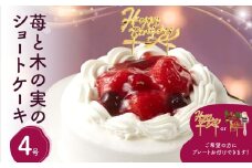 苺と木の実のショートケーキ４号 ホールケーキ ケーキ スイーツ デザート 冷凍 誕生日ケーキ パーティー 誕生日 記念日 ストロベリー イチゴ いちご 洋菓子 生洋菓子 フルーツ 果物 お菓子 おやつ 0105-004-S06