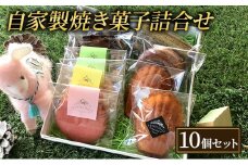 焼き菓子 10個 セット L'essentielle レセンシエル 詰め合わせ ケーク マドレーヌ フィナンシェ ティグレ サブレ 焼菓子 お菓子 菓子 洋菓子 デザート スイーツ おやつ ギフト 贈り物 プレゼント お土産 東京 東京都 食品・飲料 [№5338-0010]
