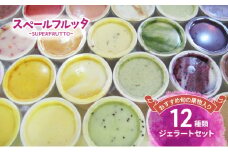 おすすめ旬の果物入り 12種類ジェラートセット アイス ジェラート 旬の果物 チョコレート 抹茶ミルク ピスタチオ 食べ比べ セット 詰合せ お取り寄せ 文京区 東京 [№5338-0186]