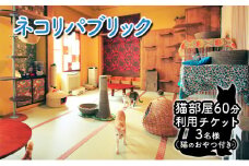 チケット 東京 猫部屋60分利用チケット猫用おやつ付き(3名様) 猫 ネコ ねこ カフェ 保護猫カフェ 動物 ふれあい 利用チケット 利用券 体験 商品券 入場券 おやつ 里親 文京区 東京都[№5338-0201]