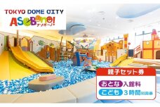 チケット 東京 屋内型キッズ施設 ASOBono!(アソボーノ) 東京ドーム 親子 子ども 家族 屋内 遊び場 キッズ施設 ボールプール すべり台 アクティビティ 思い出 文京区 東京都 [№5338-0239]
