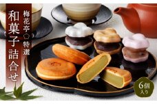梅花亭特選 和菓子詰合せ[６個入り] | 和菓子 スイーツ 銘菓 最中 三笠山 梅最中 高級 贈答 お取り寄せ 詰合せ ギフト 菓子折り お土産 手土産 お祝い 内祝い