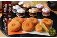 梅花亭特選 和菓子詰合せ[１２個入り] | 和菓子 スイーツ 銘菓 最中 三笠山 梅最中 高級 贈答 お取り寄せ 詰合せ ギフト 菓子折り お土産 手土産 お祝い 内祝い