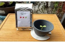 KURAMAE 焙煎店縁の木のコーヒーセット（セラミックコーヒーフィルター付き） | コーヒー豆 自家焙煎 珈琲 珈琲豆 旨み 香り 美味しい おしゃれ プレゼント プチギフト ギフト 贅沢 高級 人気 おすすめ まろやか 環境 エコ ごみ削減 メキシコ ブラジル