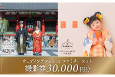 ウェディング・ファミリーフォト [30,000円分] 撮影券 | チケット 東京都 台東区 浅草 雷門 ウエディング 七五三 ベビー お宮参り