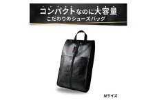 Aero Shoes Cabin【Mサイズ】(カラー：黒)
