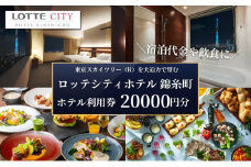 ロッテシティホテル 錦糸町 ホテル利用券 20,000円分 墨田区 錦糸町 ホテル 利用券[№5619-1584]