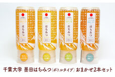 はちみつ 墨田はちみつ（ボトルタイプ） おまかせ2本セット 国産はちみつ セット おまかせ ハチミツ ハニー ギフト お取り寄せ 非加熱 ボトル容器 千葉大学 パン ヨーグルト デザート [№5619-1750]