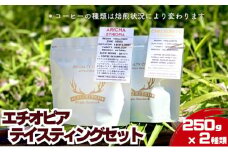 エチオピア テイスティングセット 250g × 2種類 ドリンク コーヒー スペシャルティコーヒー 中挽き [№5619-7933]1892