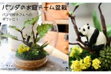 パンダのお庭ドーム盆栽 造花 アレンジ インテリア 可愛い ミニチュア アレンジメント ギフト プレゼント 誕生日 雑貨 コルク 和風アレンジ 造花アレンジ もみじ [№5619-1885]