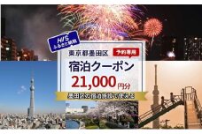HISふるさと納税宿泊予約専用クーポン（東京都墨田区）21,000円分 [№5619-2115]