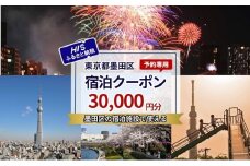HISふるさと納税宿泊予約専用クーポン（東京都墨田区）30,000円分 [№5619-2116]