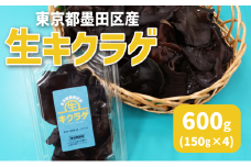 東京都墨田区産　生キクラゲ600g（150g×4パック）　食品 野菜 きのこ キノコ きくらげ キクラゲ 木耳 純国産 新鮮 プリプリ 肉厚 サラダ 和え物 炒め物 鍋[№5619-2136]