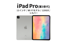 【数量限定】Apple iPad Pro 11インチ 128GB Wi-Fiモデル 第3世代 シルバー　 [№5619-2206]