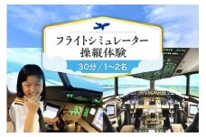 フライトシミュレーター操縦体験30分コース