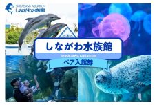 しながわ水族館ペア入館券