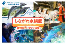 しながわ水族館魚類飼育スタッフ体験