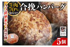 戸越銀座のハンバーグ5個セット　（牛70%豚30%）