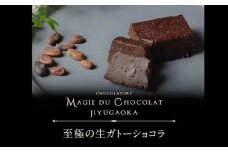 チョコレート専門店「MAGIE DU CHOCOLAT」至極の生ガトーショコラ【スイーツ チョコレート チョコレート菓子 焼き菓子 ガトーショコラ 生ガトーショコラ 濃厚 とろける 人気 おすすめ ギフト プレゼント 贈り物 ご褒美 贅沢】