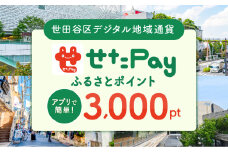 世田谷区 地域限定通貨「せたがやPay」 ふるさとポイント3,000pt（1pt＝1円）3,000円分 せたぺい デジタル地域通貨 電子決済 キャッシュレス 飲食 宿泊 体験 電子通貨 東京都 世田谷