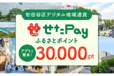 世田谷区 地域限定通貨「せたがやPay」 ふるさとポイント30,000pt（1pt＝1円）30,000円分 せたぺい デジタル地域通貨 電子決済 キャッシュレス 飲食 宿泊 体験 電子通貨 東京都 世田谷