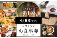 世田谷区ふるさと納税限定お礼品　非日常の空間で、二子玉川の個性が光るグルメを楽しむ　柳小路レストランお食事券（9,000円分）【高島屋選定品】 チケット 食事券 お食事券 レストラン デパート 東京 二子玉川 ランチ ディナー ギフト プレゼント 贈り物 贅沢 ご褒美 おすすめ
