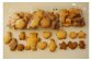 ●クッキー（50g）　くまやペンギンなど可愛い形のクッキーです。昔ながらの素朴でほっこりする味わいです。無添加なので安心です。