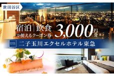 二子玉川エクセルホテル東急限定 3,000円 宿泊クーポン券（ふるさとチケット）東京都 世田谷区 宿泊 ホテル 旅行 観光 ビジネス 出張 割引 カップル 家族旅行 都内 東急ホテル アクセス便利 トラベル 宿泊券 チケット