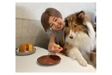 無為自然　一期一会・Ｓ（飼い主と愛犬がシェアして食べる米粉シフォンケーキとスペシャルティコーヒー「焙煎豆（中挽き）」セット）【世田谷みやげ】コーヒー ケーキ セット デザート 米粉 グルテンフリー シフォンケーキ シェア 犬 愛犬 焙煎豆 中挽き 手作り ギフト プレゼント おやつ ティータイム 贈り物