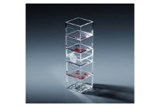 【TOMONARI】アクリル升 mas/mas（マスマス）0.3合枡　5個セット　四季柄【世田谷みやげ】升 食器 酒器 コップ セット 日用品 工芸品 インテリア アクリル お土産 小物入れ 小物 ギフト プレゼント 贈り物