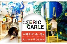 PLAY! PARK ERIC CARLE 入場チケット 3枚（大人3名・子ども3名 計6名様分）体験 チケット 入場券 入場チケット 遊び場 アスレチック アトリエ ギフト プレゼント 贈り物 ご褒美