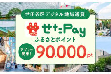 世田谷区 地域限定通貨「せたがやPay」 ふるさとポイント90,000pt（1pt＝1円）90,000円分 せたぺい デジタル地域通貨 電子決済 キャッシュレス 飲食 宿泊 体験 電子通貨 東京都 世田谷