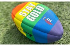 【数量限定】[東京山九フェニックス]レインボーラグビーボール