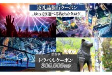 渋谷区 後から選べる旅行Webカタログで使える！ 旅行クーポン（300,000円分） 【都内 駅近 原宿 表参道 代々木 明治神宮 観光 旅行 ホテル 旅館 老舗 高級 トラベル チケット 家族 カップル 宿泊 予約 おすすめ 父の日 母の日 旅行券 宿泊券】