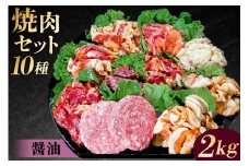 焼肉セット10種（醤油）【 味付け 醤油 簡単 BBQ バーベキュー 牛タン 牛カルビ 牛ウデ 牛肩ロース 牛さがり 豚トロ ハンバーグ ホルモン 鶏もも 豚カルビ 小分け 冷凍保存 】
