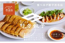 【定期便】野方餃子 冷凍生餃子セット 10人前（60個）（２ヶ月毎:全６回発送）| 餃子 点心 冷凍 中華 名店 簡単調理 人気 おすすめ 送料無料 東京 中野区