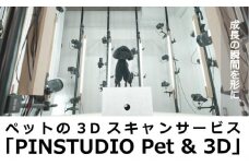 ペットの３Dスキャンと３Dフルカラープリントによる造形（フィギュア）長辺５cm | ペット 3Dスキャン 犬 猫 記念 ギフト オーダーメイド 思い出 人気 おすすめ 送料無料 東京 中野区