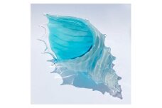 貝殻のガラスの入れ物「シェルの器」大きめ | ガラス 器 貝 大きい 小物入れ インテリア 食器 おしゃれ 人気 おすすめ 送料無料 東京 中野区