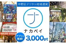 ナカペイふるさと納税ポイント 3,000円分
