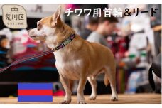 チワワ用カラー（首輪）＆リード(カラー：紺・赤・紺)【001-001】