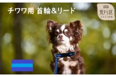 チワワ用カラー（首輪）＆リード(カラー：紺・水色・紺)【001-003】