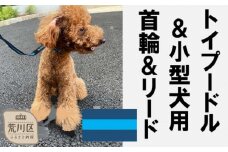 トイプードル及び小型犬用カラー（首輪）＆リード(カラー：紺・水色・紺)【001-006】