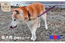 柴犬用カラー（首輪）＆リード(カラー：紺・赤・紺)【001-007】