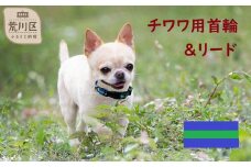 チワワ用カラー（首輪）＆リード(カラー：紺・緑・紺)【001-013】