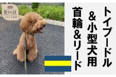 トイプードル及び小型犬用カラー（首輪）＆リード(カラー：紺・黄・紺)【001-015】