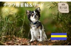 チワワ用カラー（首輪）＆リード(カラー：紺・黄・紺)【001-014】