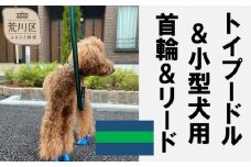 トイプードル及び小型犬用カラー（首輪）＆リード(カラー：紺・緑・紺)【001-016】